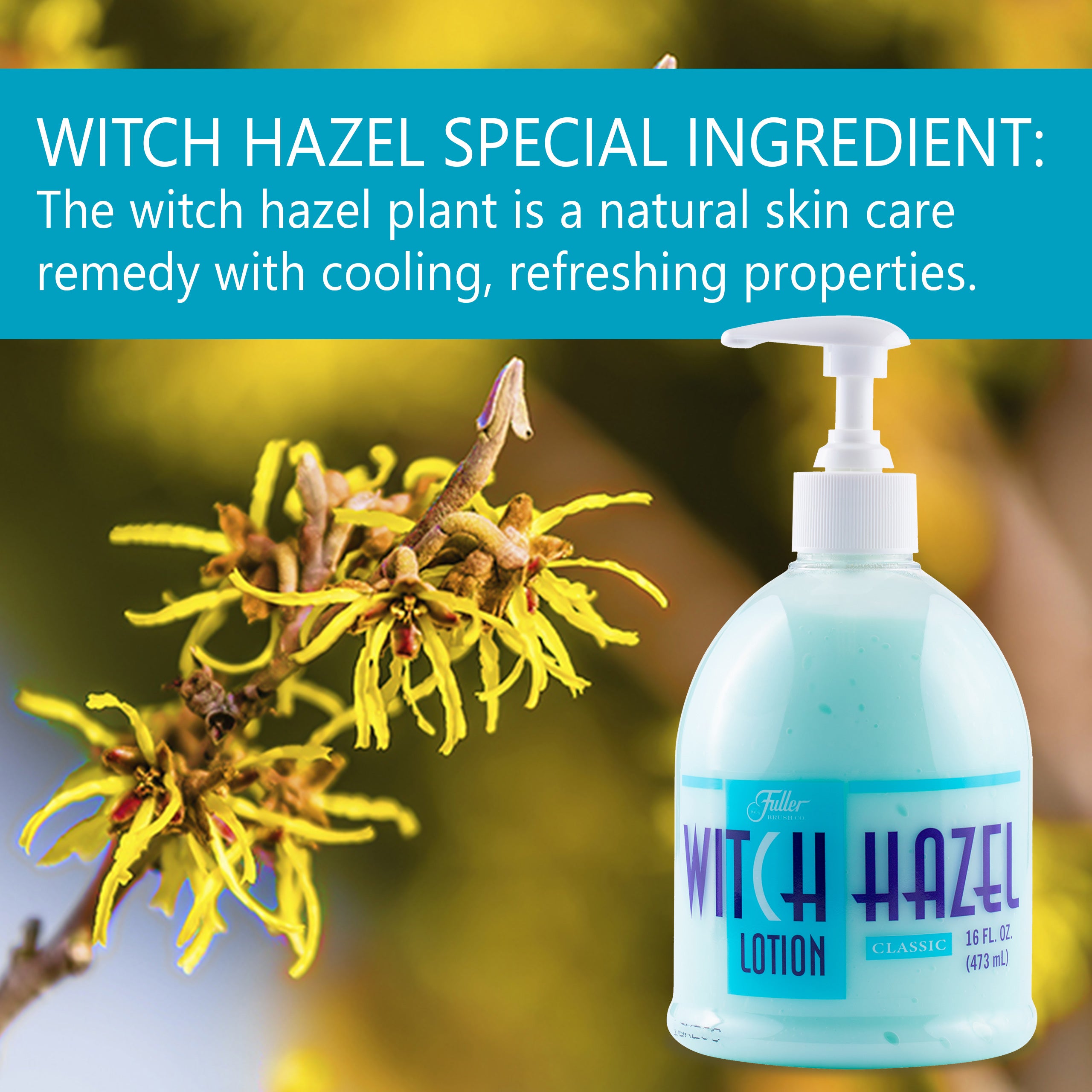 fuller-brush-witch-hazel-classic-moisturizing-lotion-16-oz-made-in-usa image 3