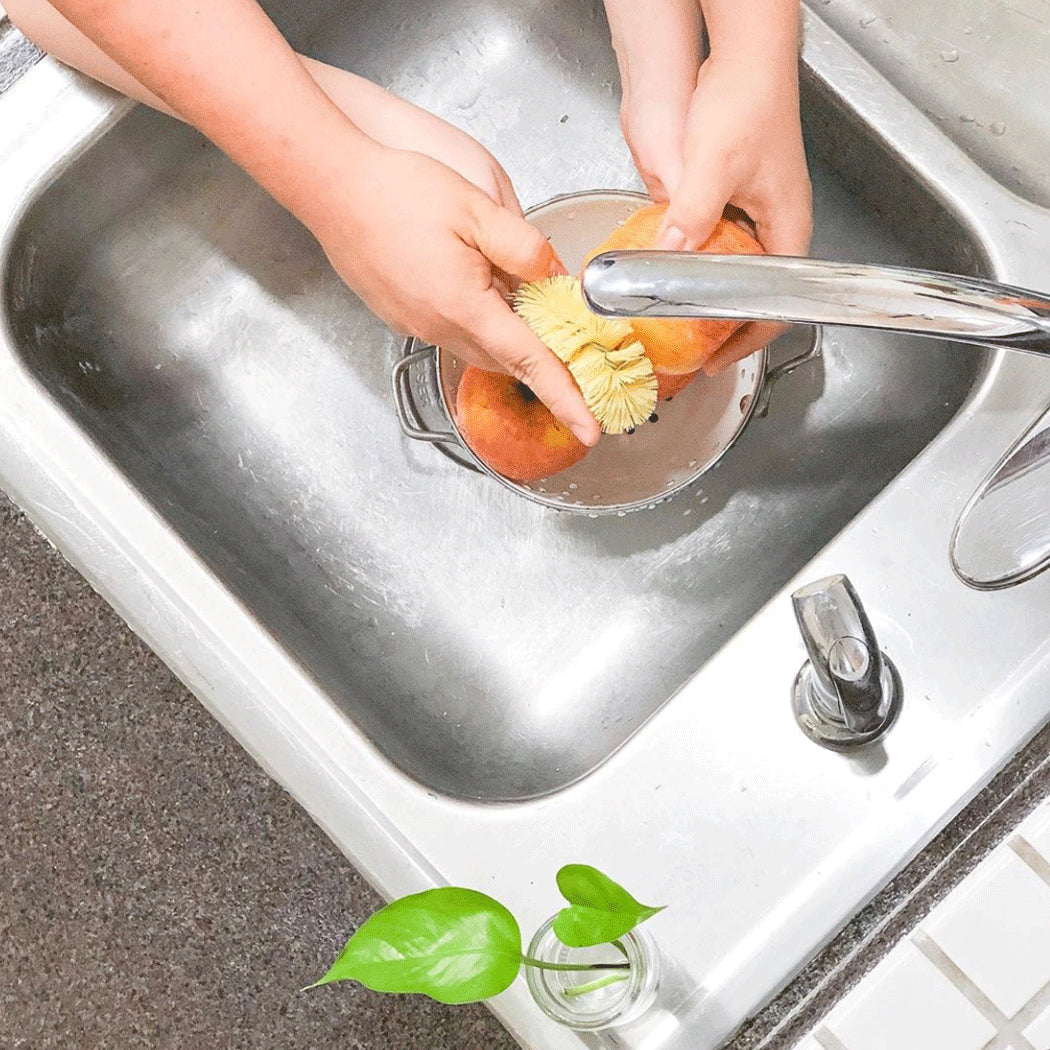 fuller-brush-original-vegetable-brush-firm-polypropylene-bristles-round-produce- image 8