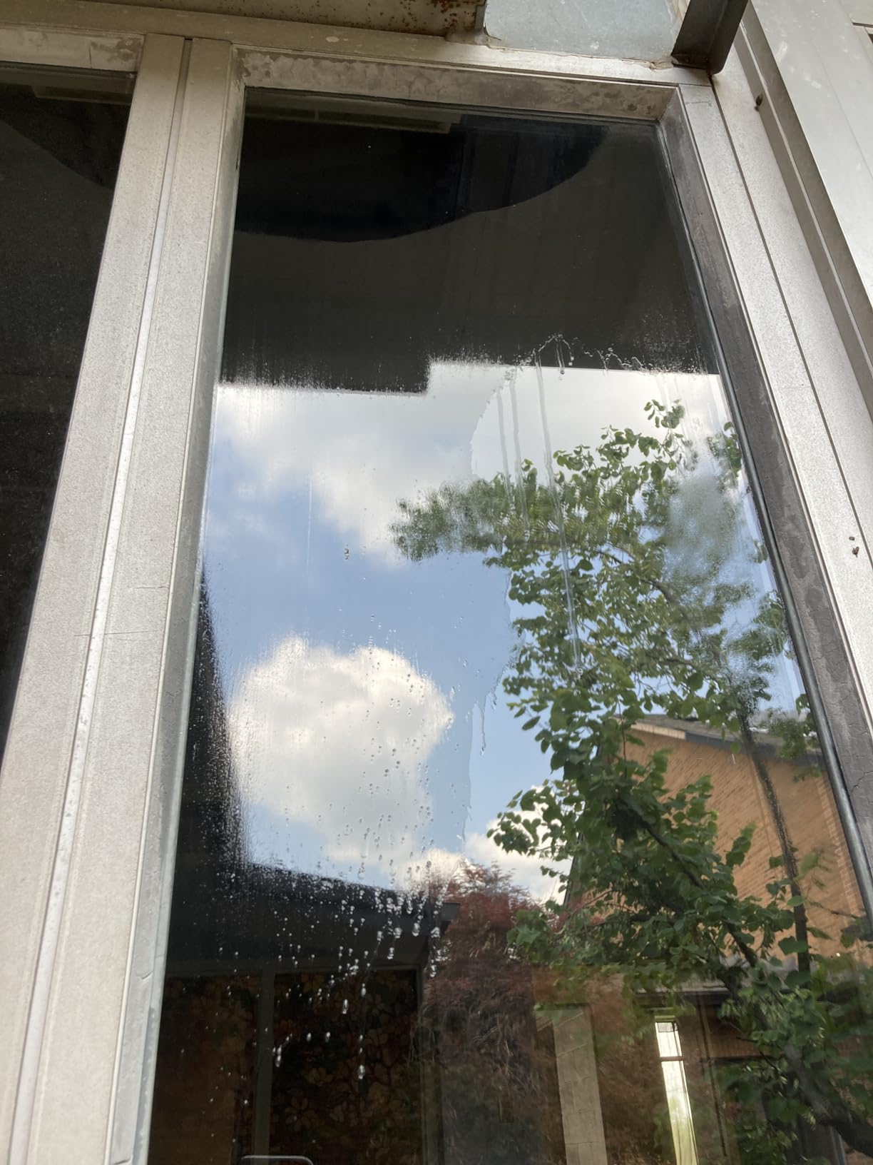 Excellent window cleaner