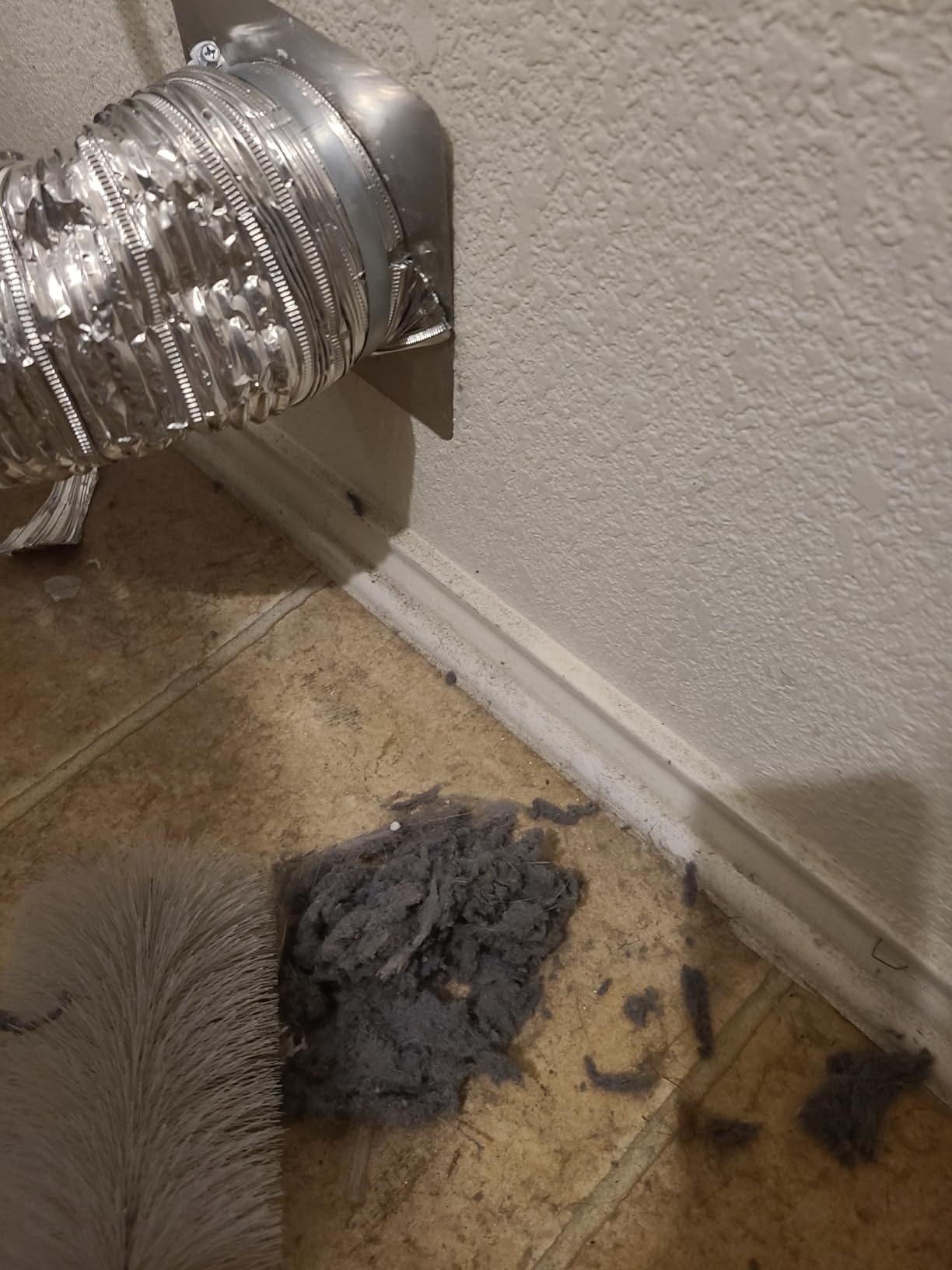 Bristles fell off