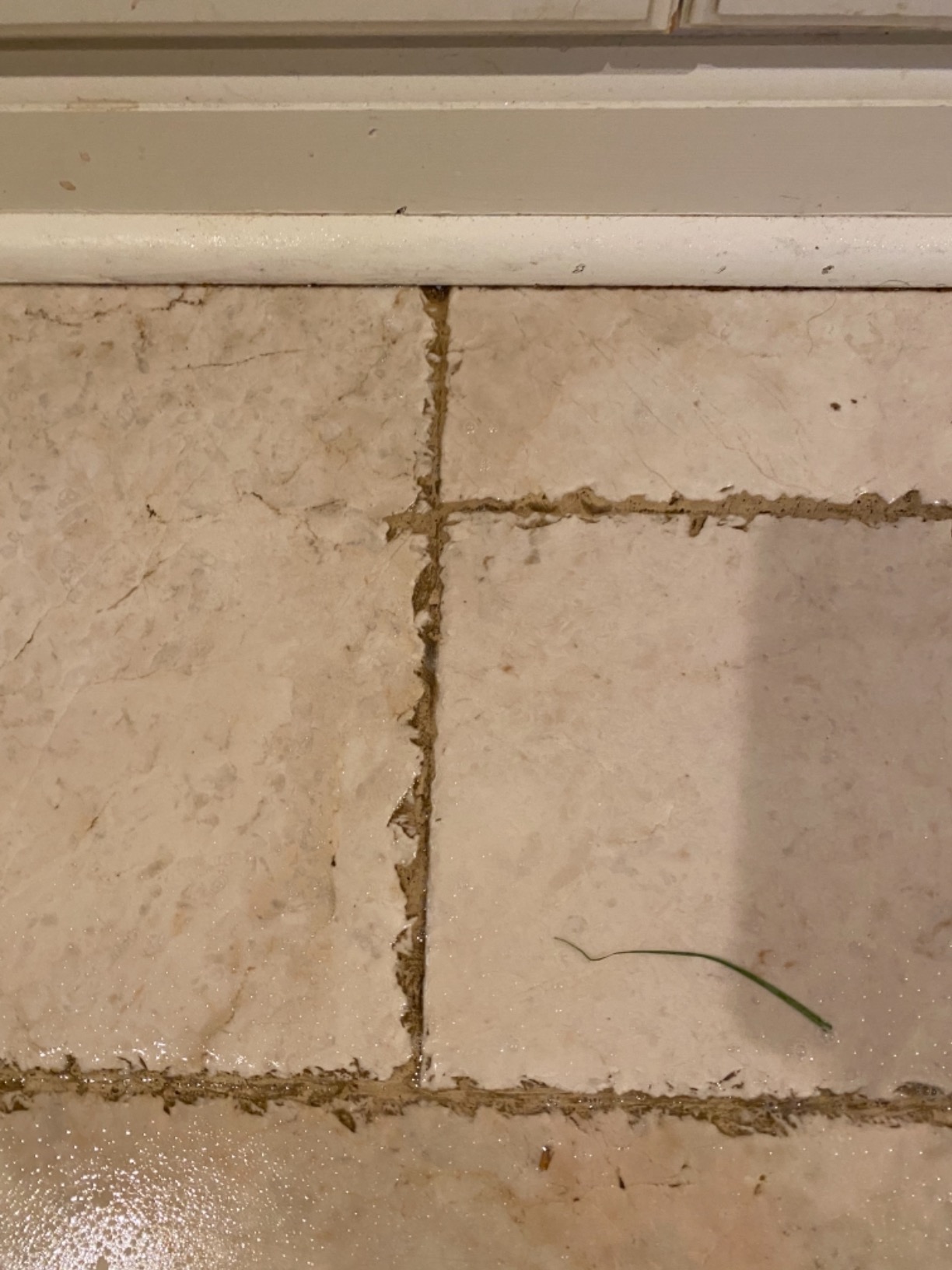 Bristles fell out