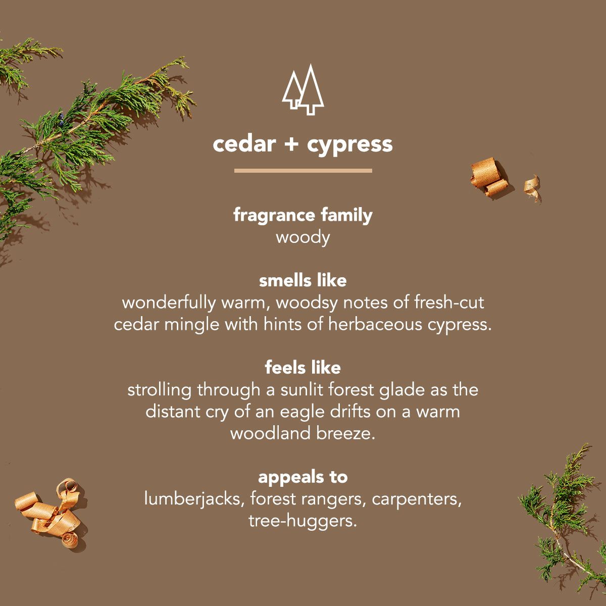 method-bar-soap-cedar-cypress-single-bar image 4