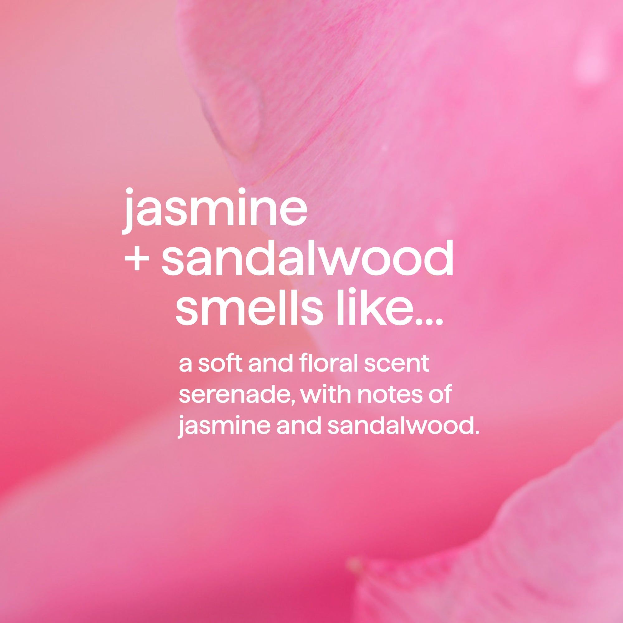method-body-hair-mist-jasmine-sandalwood-8-fl-oz image 5
