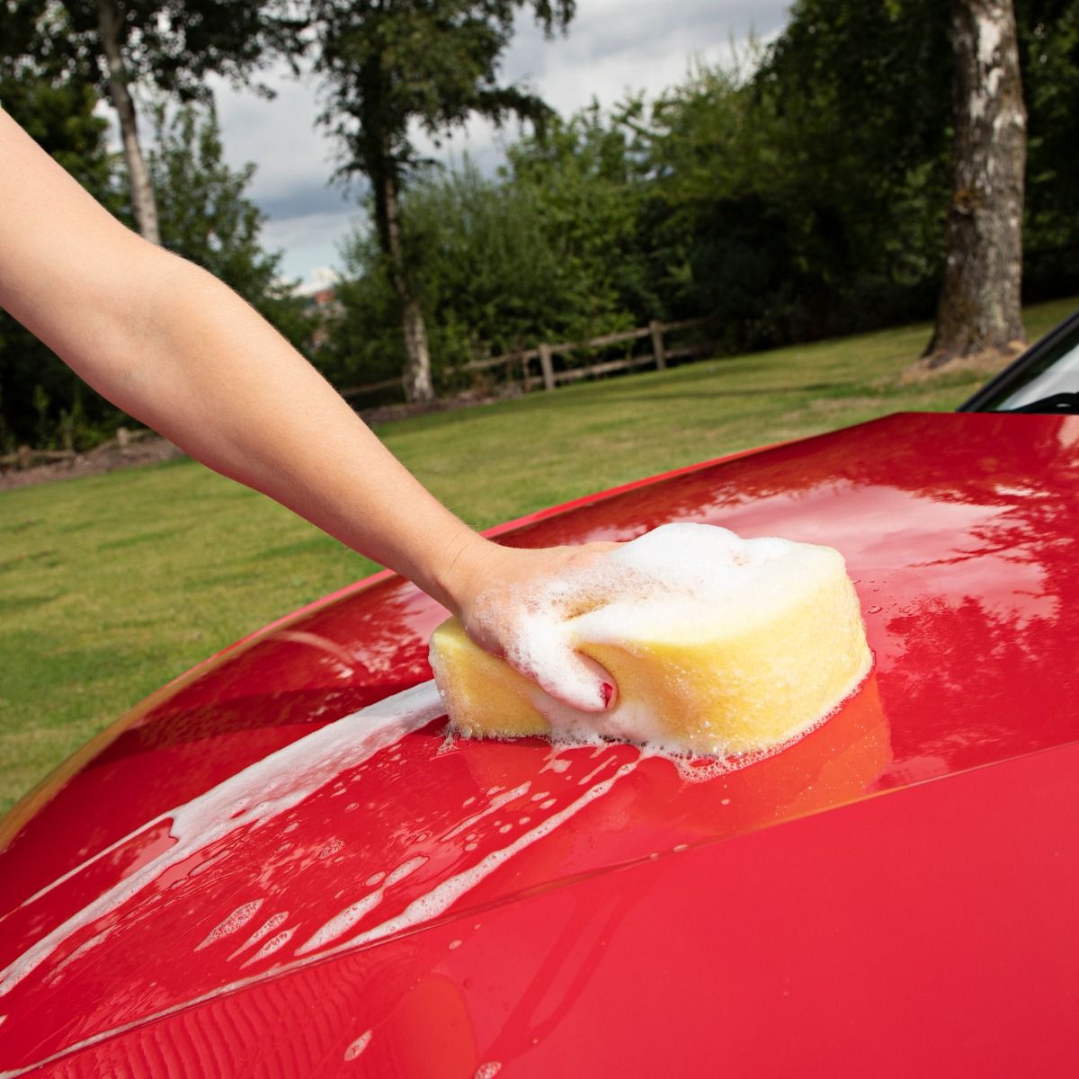 minky-jumbo-car-sponge-large-soft-super-absorbent image 2