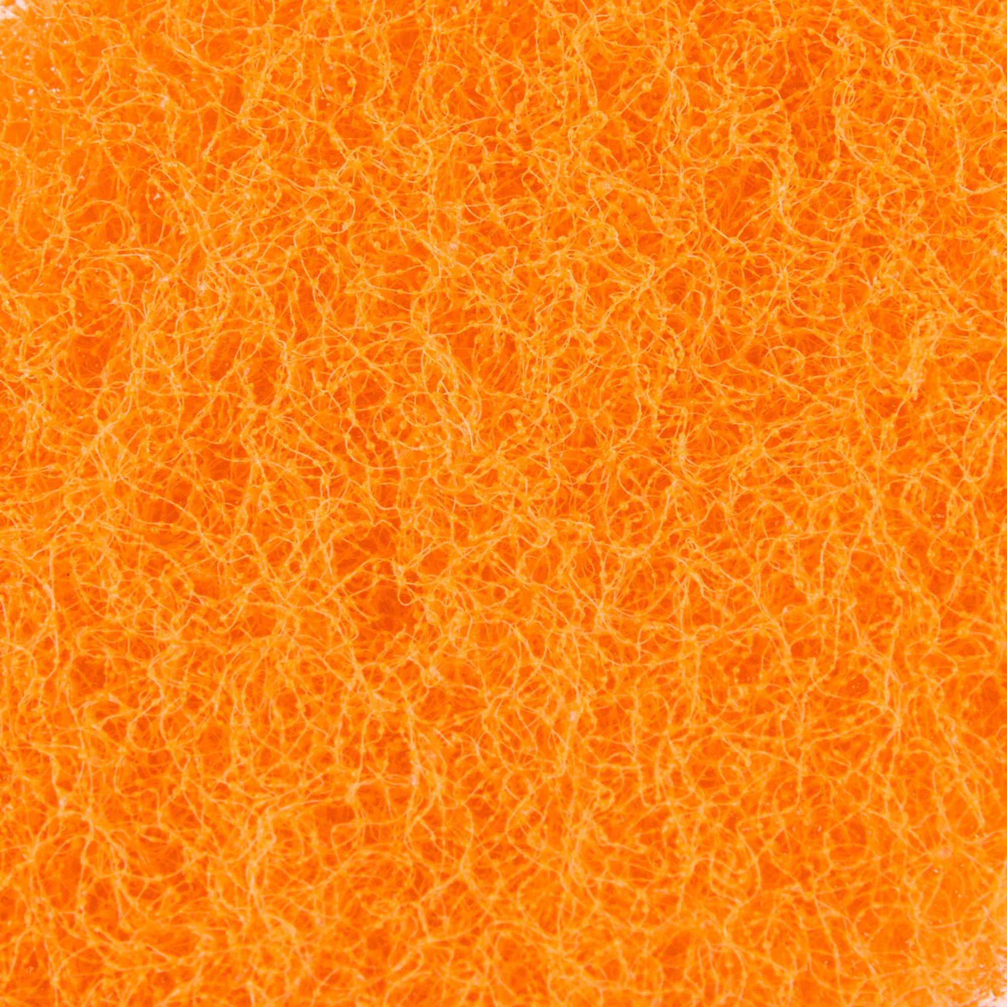 minky-brites-everyday-scourers-7-pack-non-scratch-colour-coded image 6