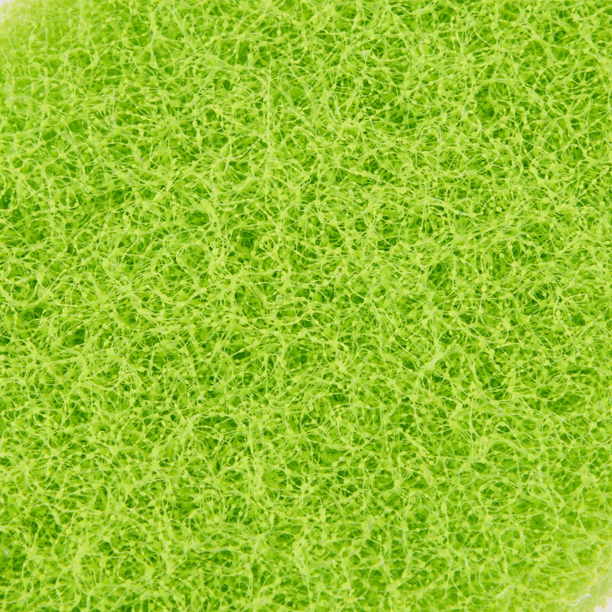 minky-brites-everyday-scourers-7-pack-non-scratch-colour-coded image 7