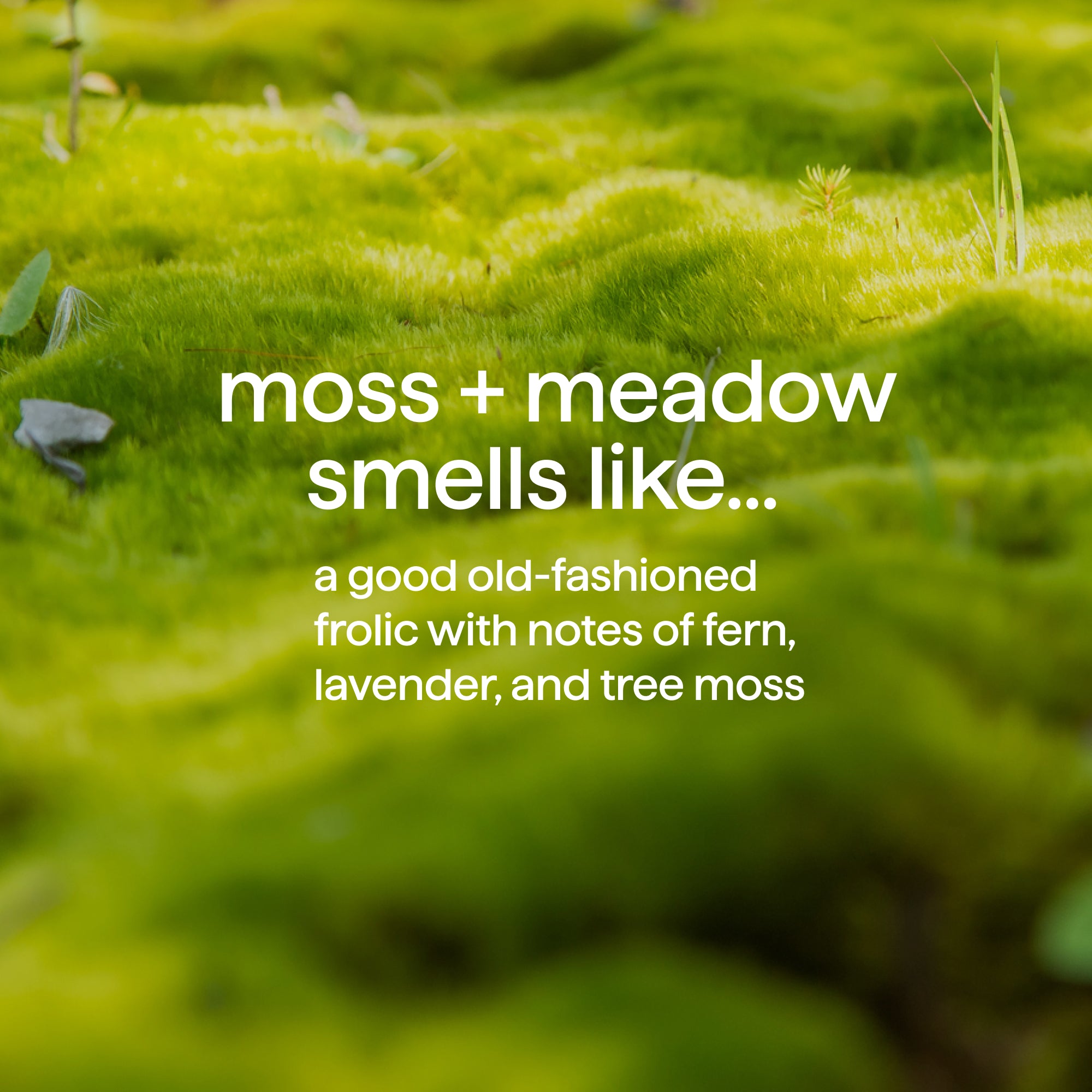 method-men-s-body-wash-moss-meadow-18-fl-oz image 5