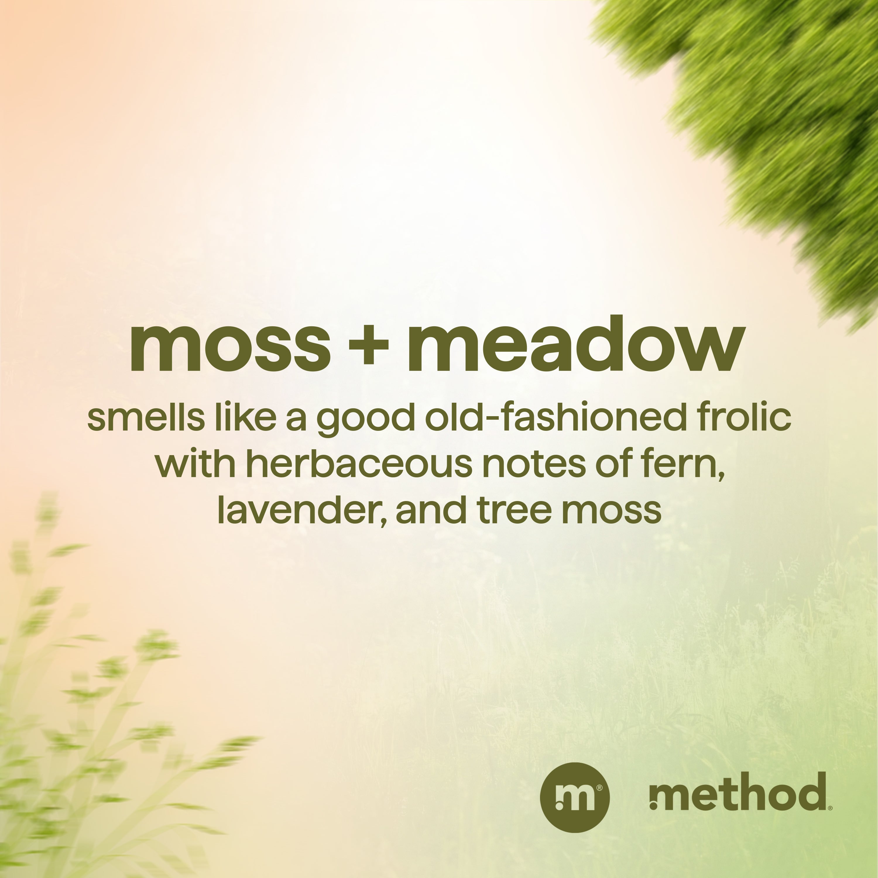 method-men-2-in-1-shampoo-conditioner-moss-meadow-14-fl-oz image 8