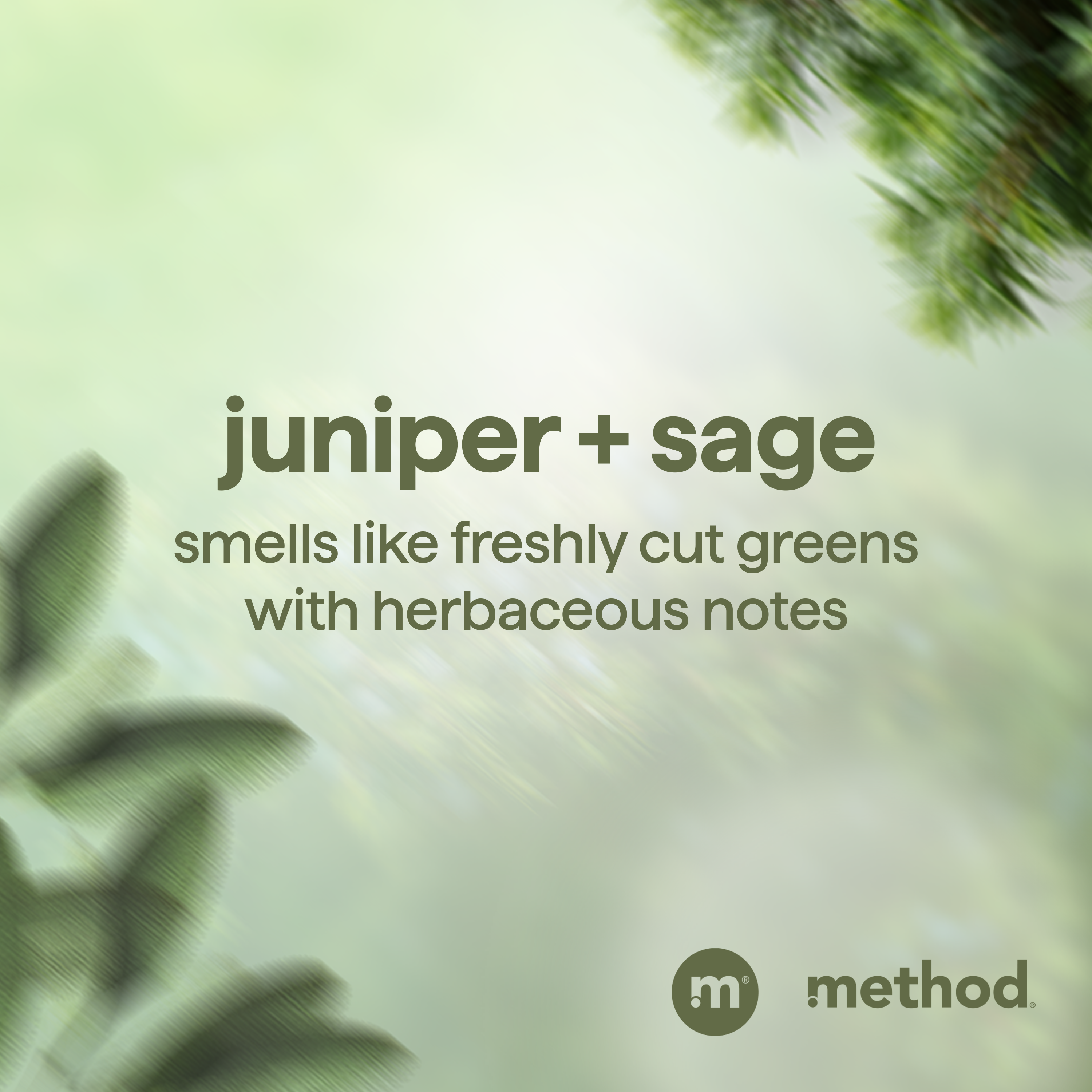 method-men-2-in-1-shampoo-conditioner-juniper-sage-14-fl-oz image 7